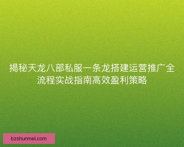 揭秘天龙八部私服一条龙搭建运营推广全流程实战指南高效盈利策略