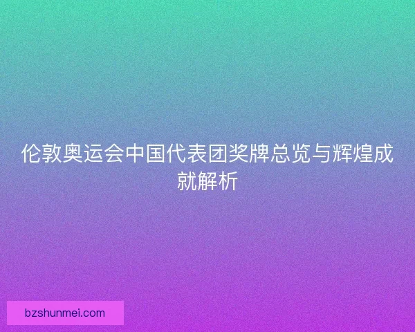 伦敦奥运会中国代表团奖牌总览与辉煌成就解析