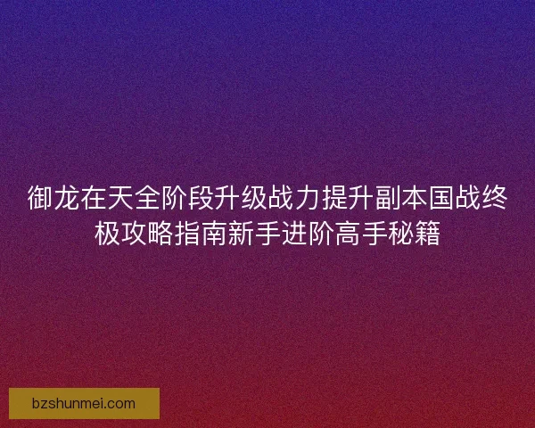 御龙在天全阶段升级战力提升副本国战终极攻略指南新手进阶高手秘籍