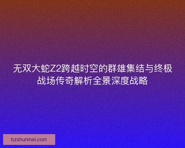无双大蛇Z2跨越时空的群雄集结与终极战场传奇解析全景深度战略