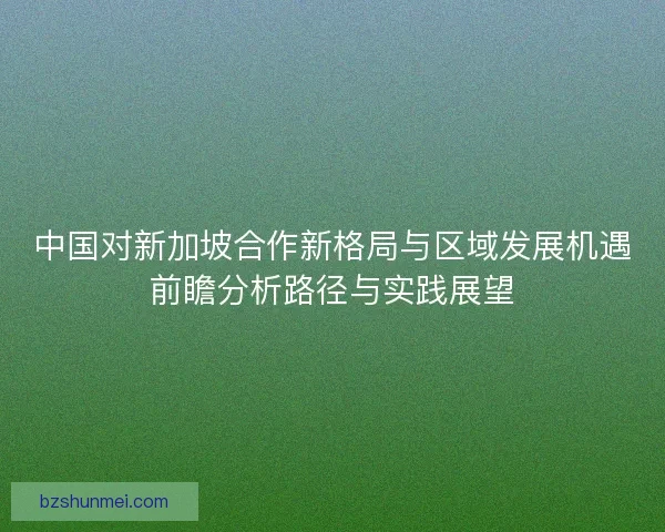 中国对新加坡合作新格局与区域发展机遇前瞻分析路径与实践展望