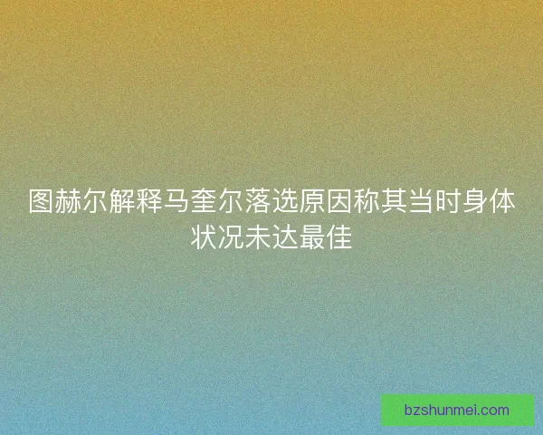 图赫尔解释马奎尔落选原因称其当时身体状况未达最佳